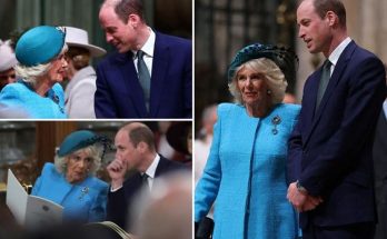 ‘Deserves All the Disrespect’: Users React as Queen Camilla Reportedly Took Action against William & Kate  –  What Happened?