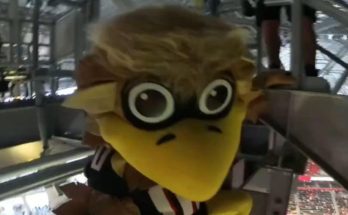 VIDEO: Atlanta Falcons Mascot Set A New Guinness World Record By Performing The Most Terrifying Stunt Inside Mercedes-Benz Stadium