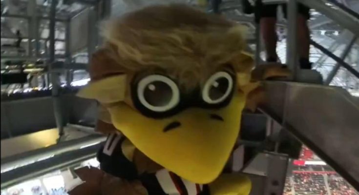 VIDEO: Atlanta Falcons Mascot Set A New Guinness World Record By Performing The Most Terrifying Stunt Inside Mercedes-Benz Stadium