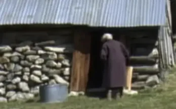 My Elderly Neighbor Visited an Old Shack Every Day at the Same Time – I Nearly Fainted When I Checked inside One Day