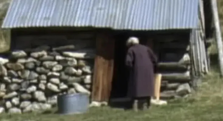 My Elderly Neighbor Visited an Old Shack Every Day at the Same Time – I Nearly Fainted When I Checked inside One Day