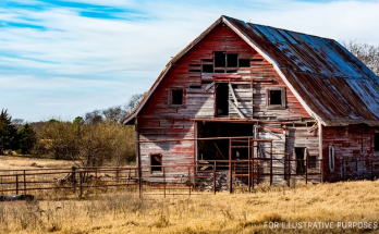 Man Buys Abandoned Farm for Last K, Dollars Fall on His Head as  He  Checks Attic  —  Story of the Day