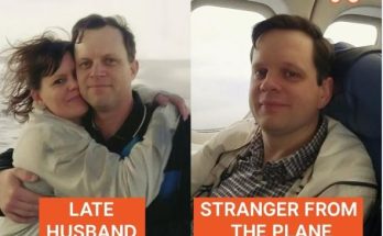 After Husband’s Death, Stewardess Runs into Man Who Looks Exactly like Him on the Plane  —  Story of the Day