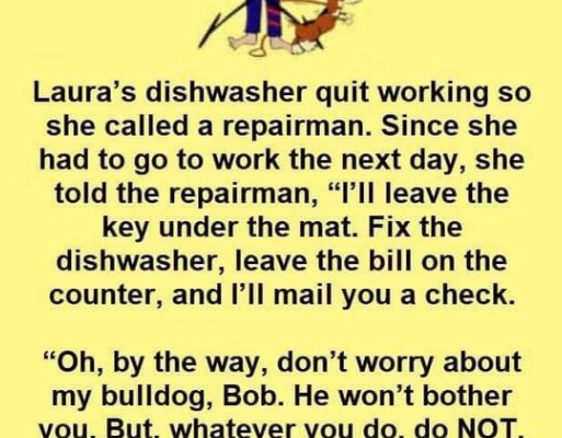 Woman left instructions for the repairman but he decided not to listen