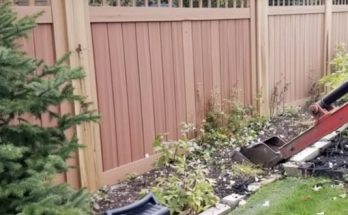 My Entitled Neighbor Forced Me to Take down My Old Fence – How Karma Got Her Back Is Unbelievable