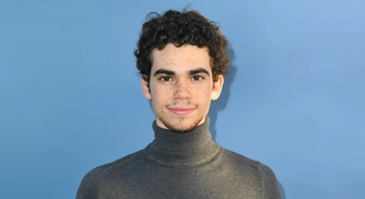 Here’s Why the Late Cameron Boyce Stopped an Intimate Scene with Jenna Ortega During Audition & Users Agree with Him