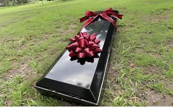 A Coffin with a Gift Bow Was Brought to Our Wedding During the Ceremony — I Nearly Fainted When It Opened