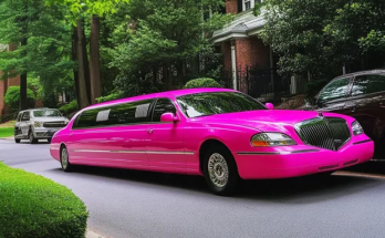 My Stepmom Secretly Canceled My Prom Hair Appointment to Ruin My Day – But Her Jaw Dropped When a Limousine Showed Up for Me