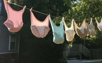 My Neighbor Kept Hanging out Her Panties Right in Front of My Son’s Window – So I Taught Her a Real Lesson